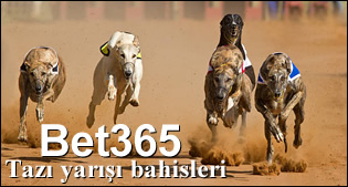 bet365 tazı yarışı bahisleri